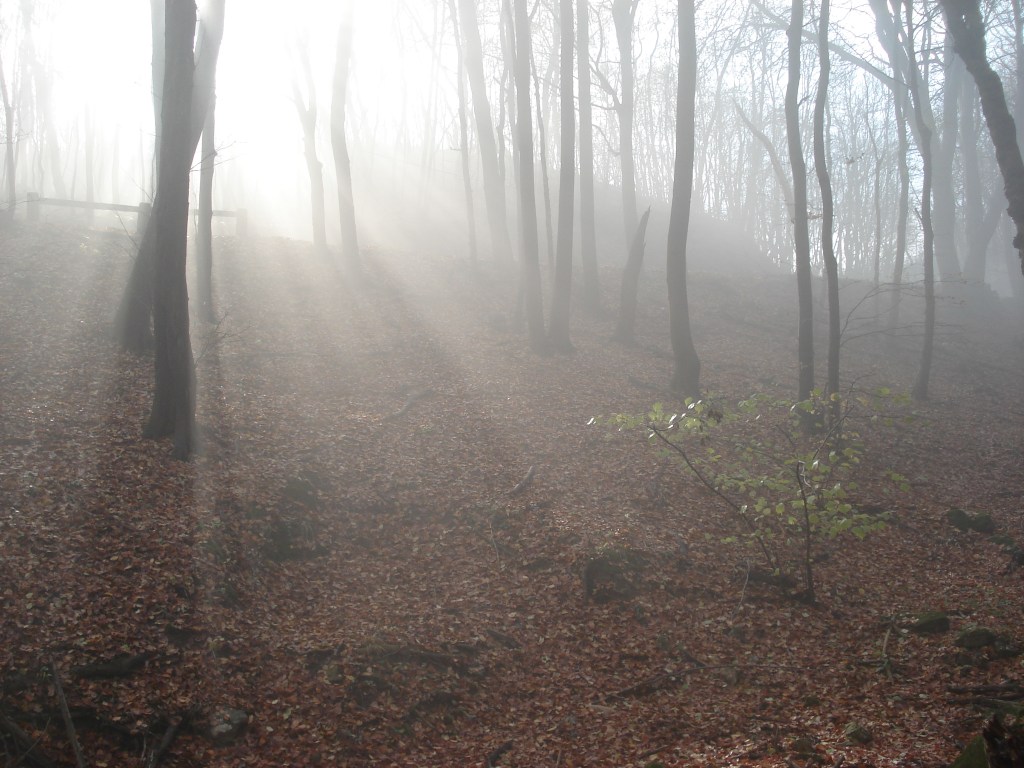 How is old age branded? / Támasz vagy tündérmese?